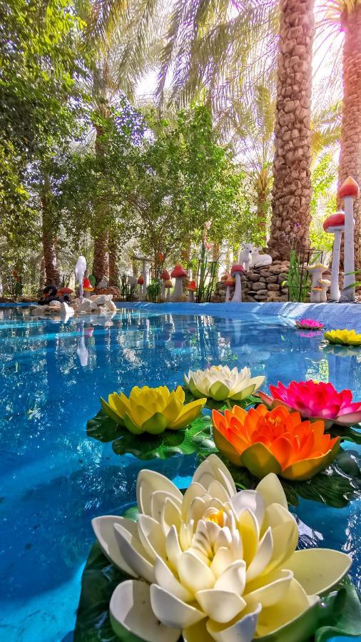 Alberi Lodge Hatta Bagian luar foto